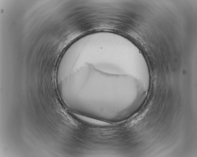 X0000088211121200706121758