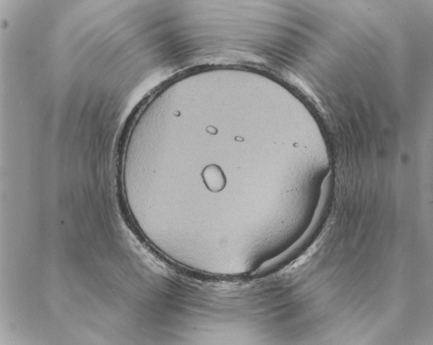 X0000088211122200706121758