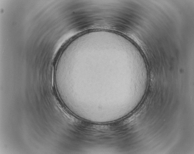 X0000088211123200706121758