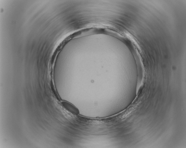 X0000088211124200706121758