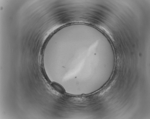 X0000088211125200706121759