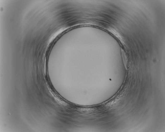 X0000088211127200706121759