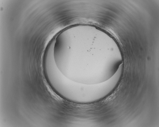 X0000088211128200706121759