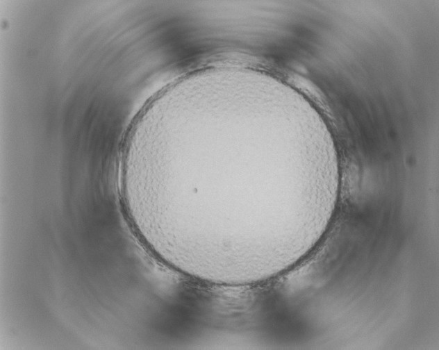 X0000088211130200706121759