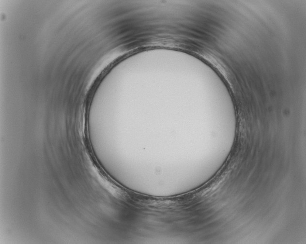 X0000088211131200706121759