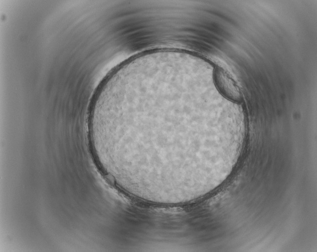 X0000088211133200706121759