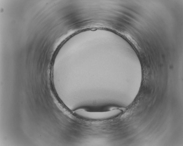 X0000088211134200706121759