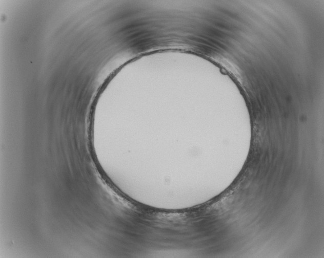 X0000088211135200706121759