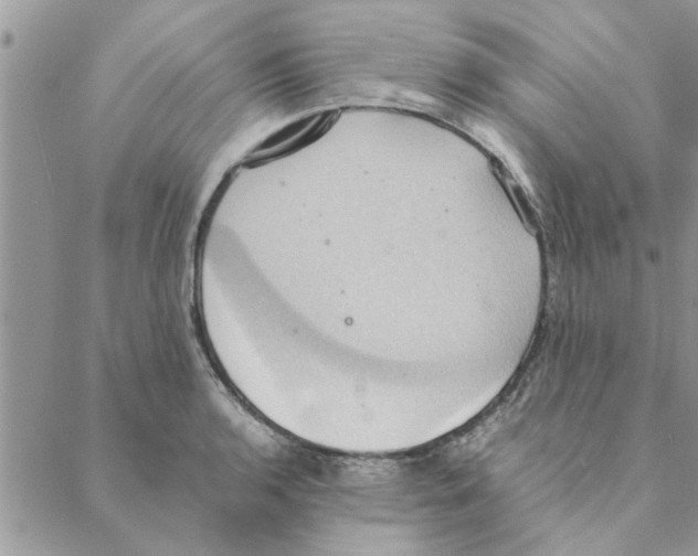 X0000088211136200706121759