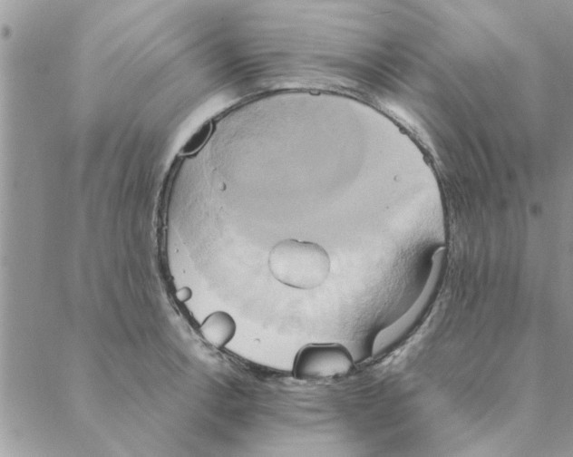 X0000088211138200706121759