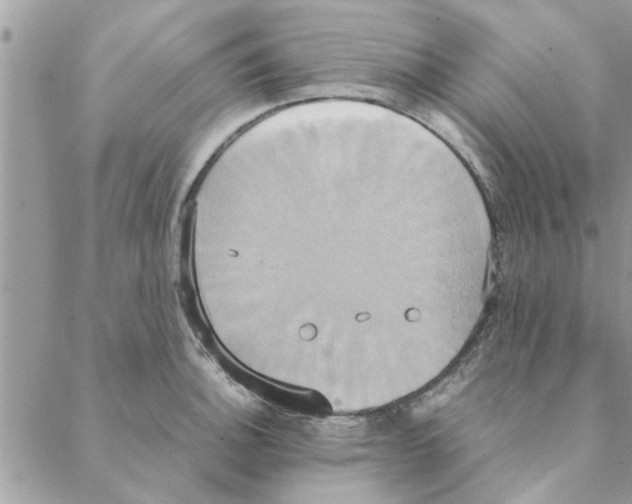 X0000088211140200706121759