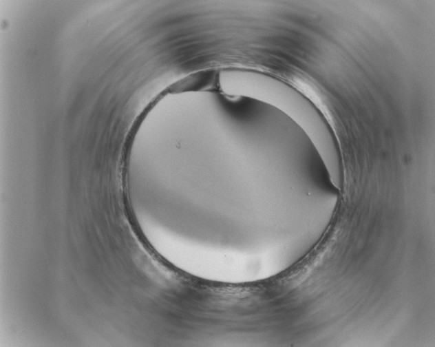 X0000088211141200706121759