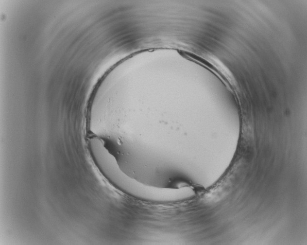 X0000088211144200706121759