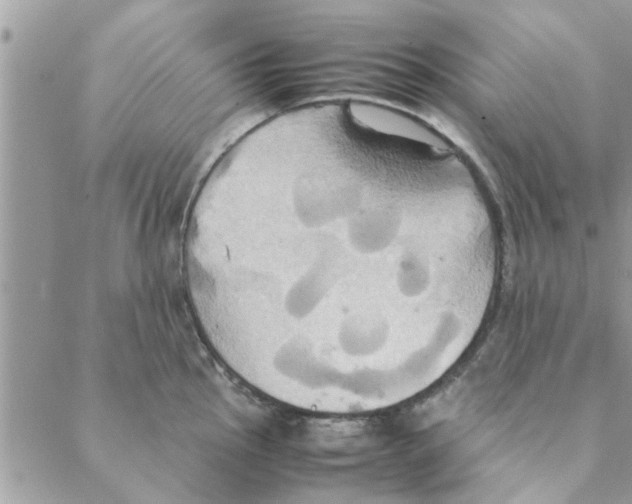 X0000088211145200706121759