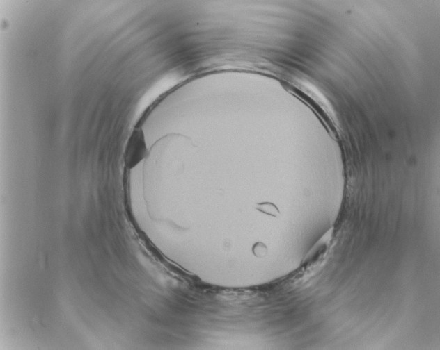 X0000088211146200706121759