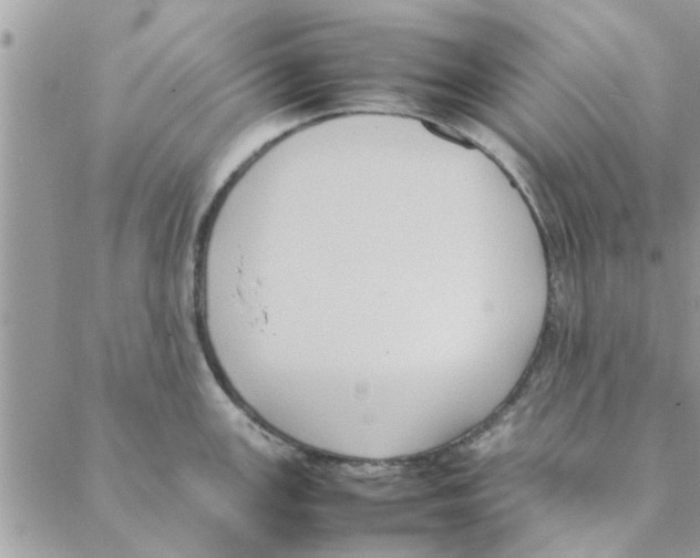 X0000088211147200706121759