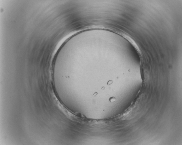 X0000088211148200706121759