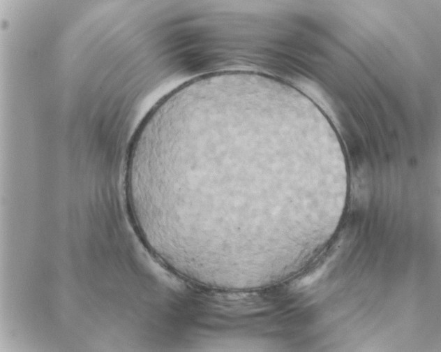 X0000088211149200706121759