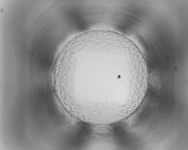 X0000088211150200706121759