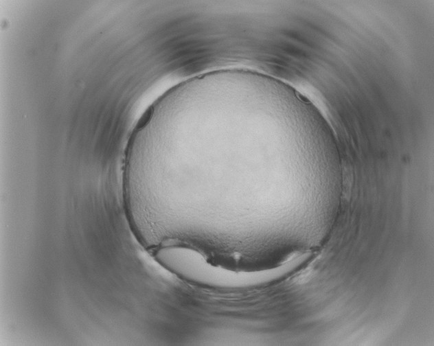 X0000088211151200706121759