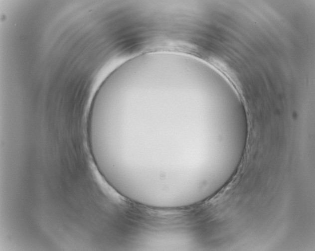 X0000088211152200706121759