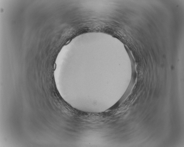 X0000088211153200706121758