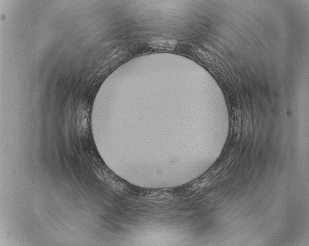 X0000088211154200706121758