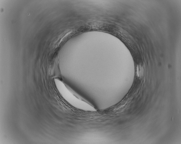 X0000088211155200706121758