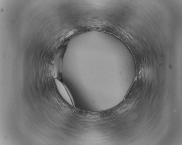 X0000088211156200706121758