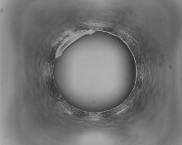 X0000088211157200706121758