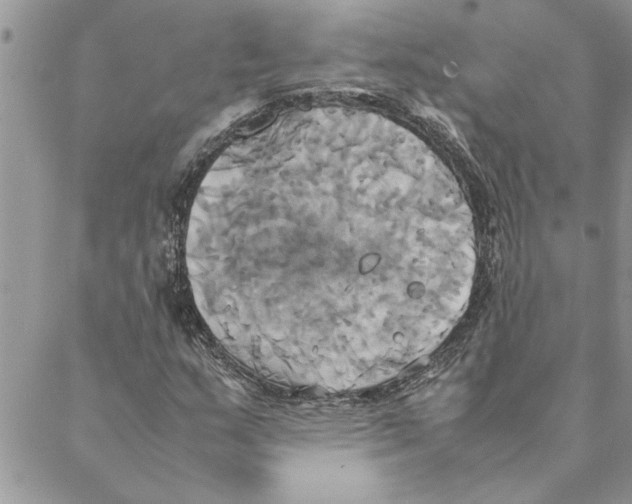 X0000088211159200706121758