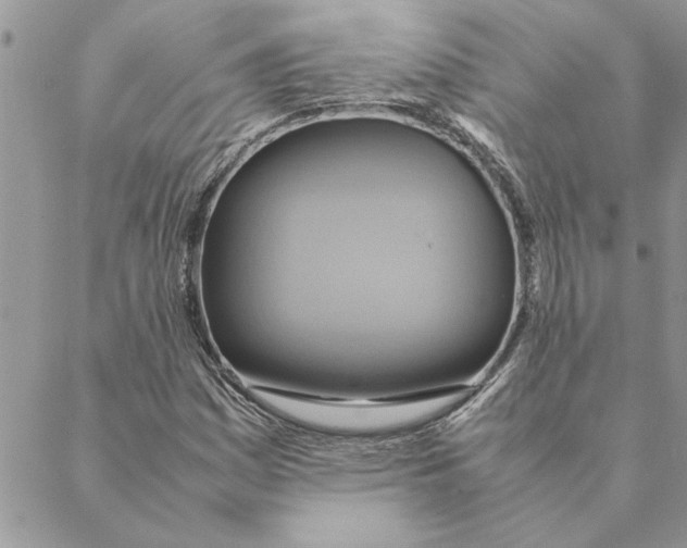 X0000088211161200706121758