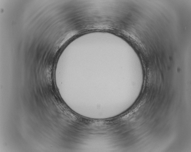 X0000088211162200706121758