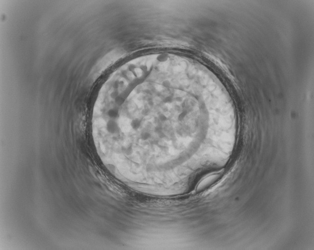 X0000088211163200706121758