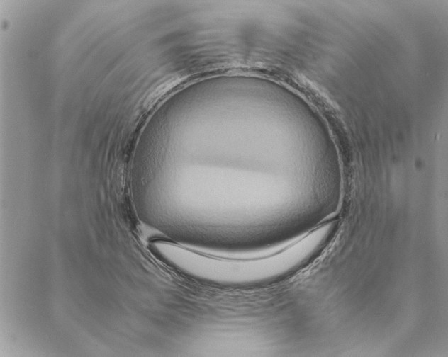 X0000088211169200706121758