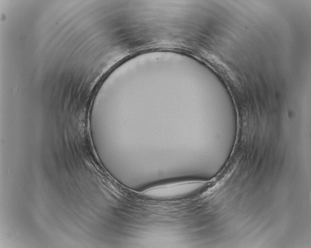 X0000088211170200706121758