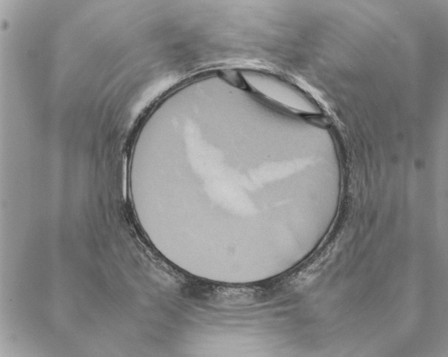 X0000088211171200706121758