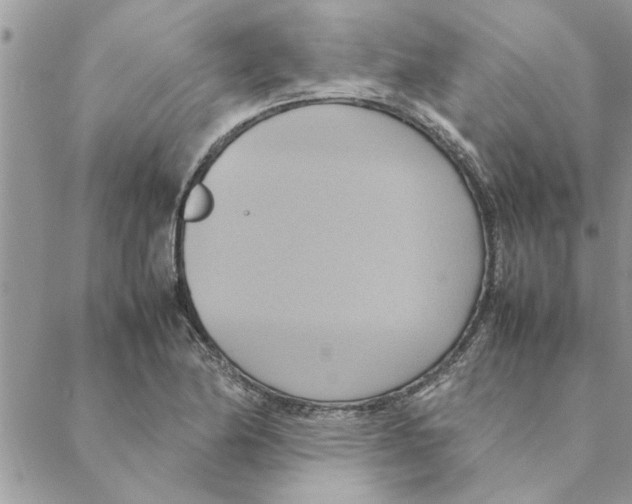 X0000088211174200706121758