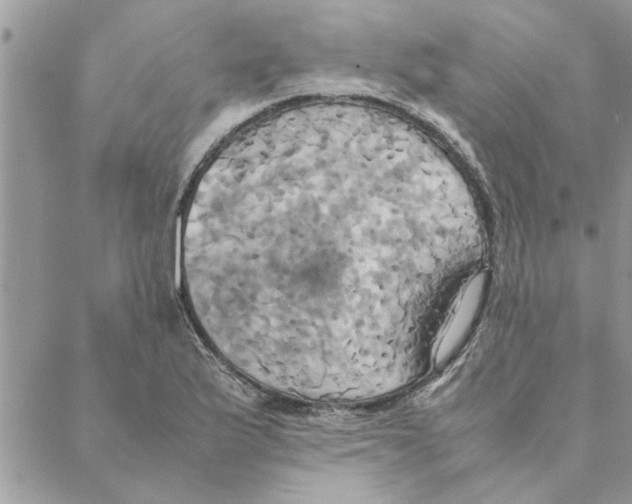 X0000088211175200706121758