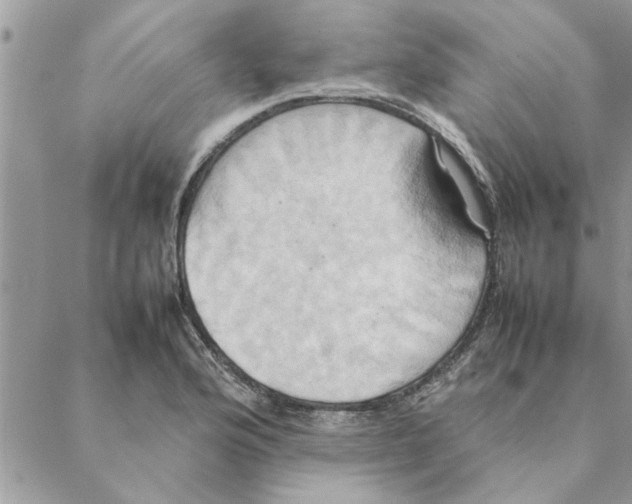 X0000088211176200706121758