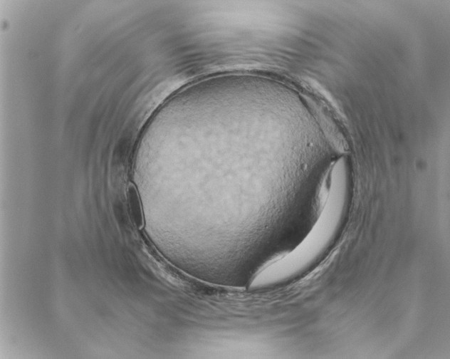 X0000088211177200706121758