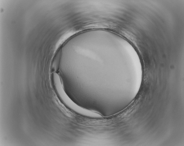 X0000088211179200706121758