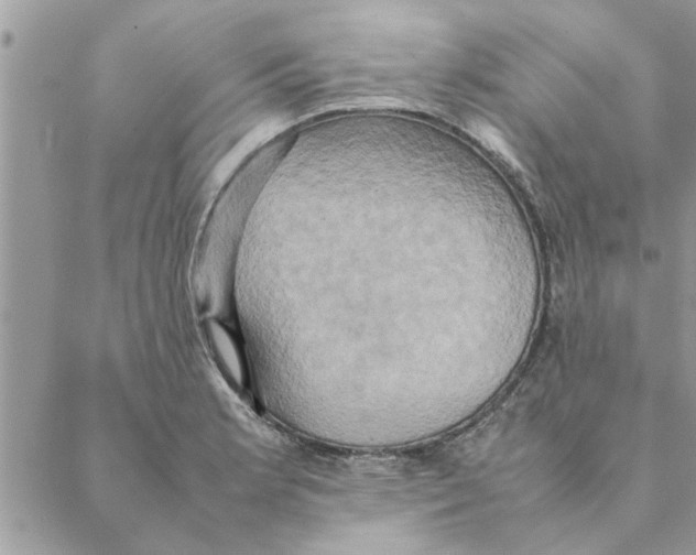 X0000088211181200706121758