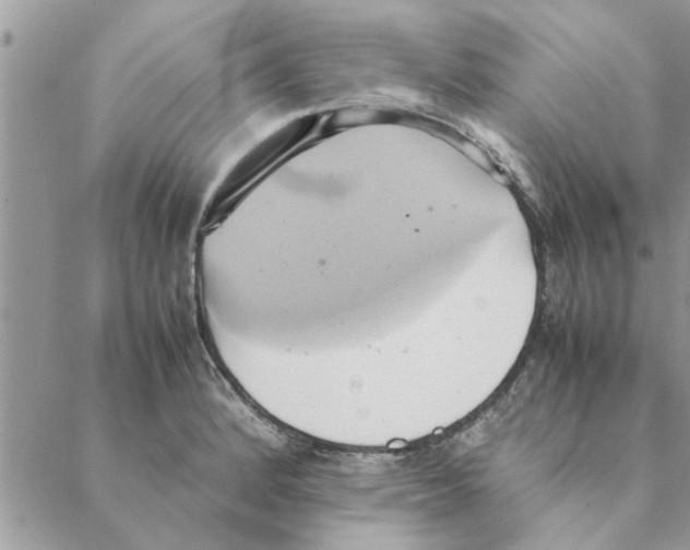 X0000088211184200706121758