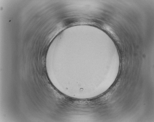 X0000088211185200706121758