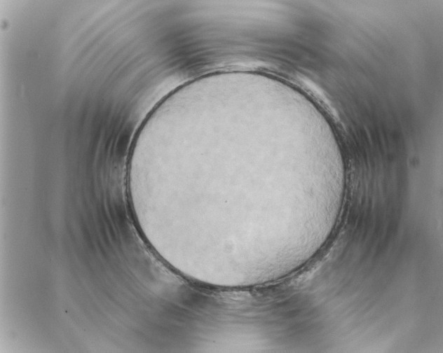 X0000088211186200706121758