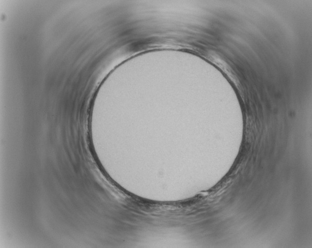 X0000088211187200706121758