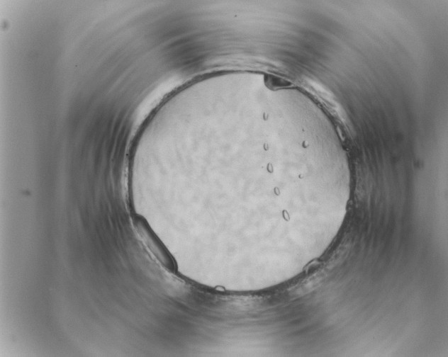 X0000088211188200706121758