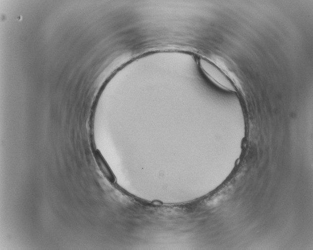 X0000088211189200706121758