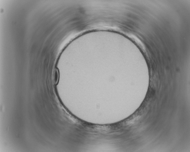 X0000088211191200706121758